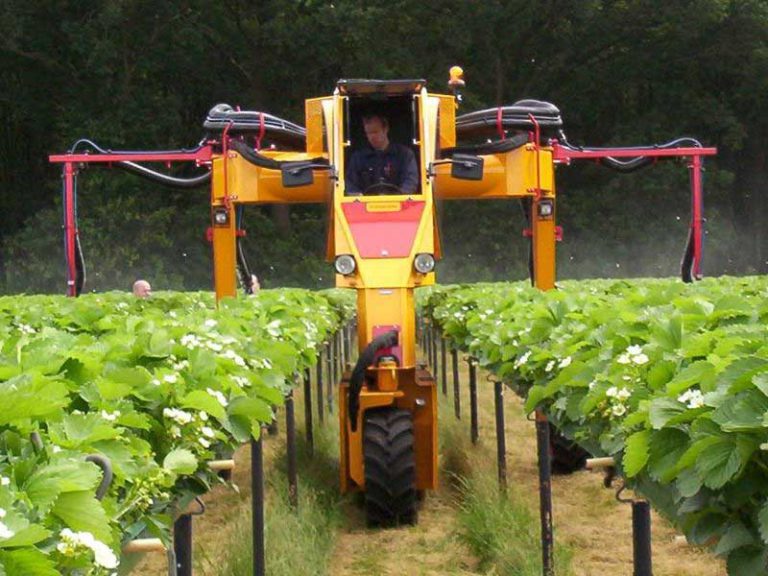 Multitrike für Erdbeeren