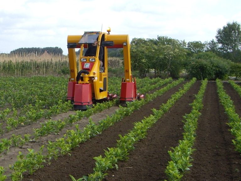 Portaltraktor Kultivatoren 3 reihen