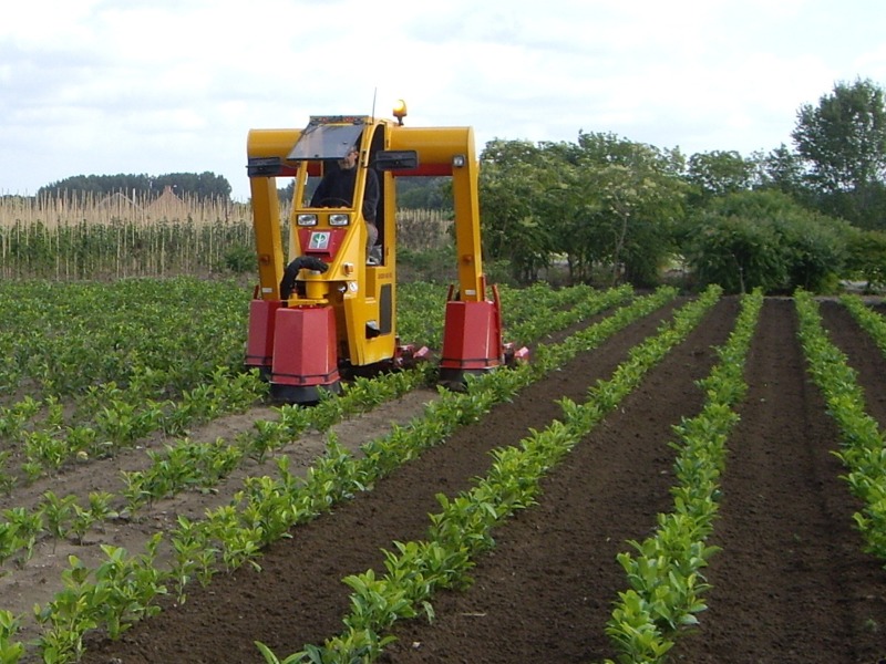 Portaltraktor Kultivatoren 3 reihen