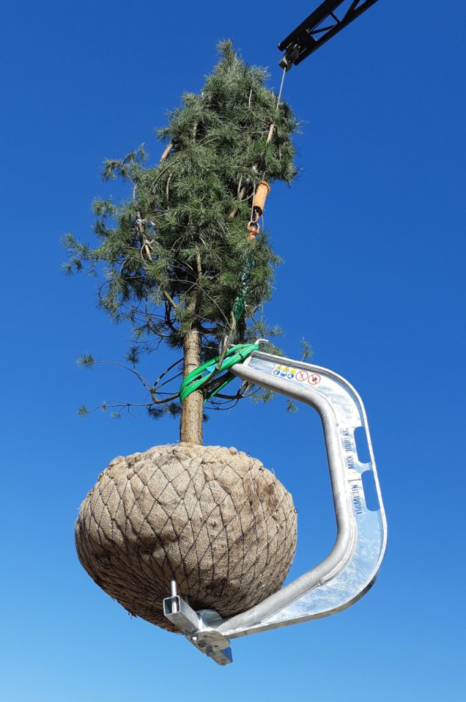 Ballenhaken BLH-1000