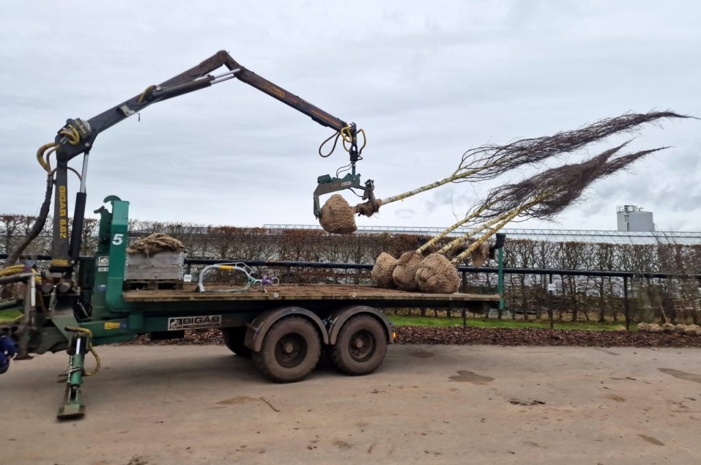 Damcon hydraulische Ballenhaken HK-800 R