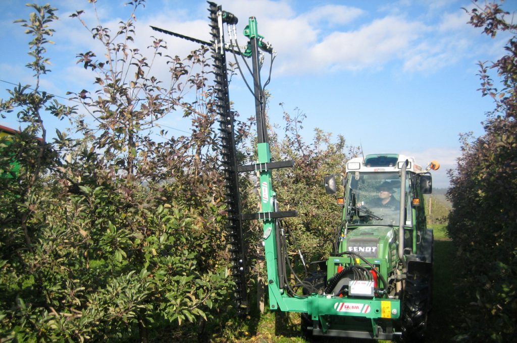 Horizontaler und vertikaler Baumschnitt