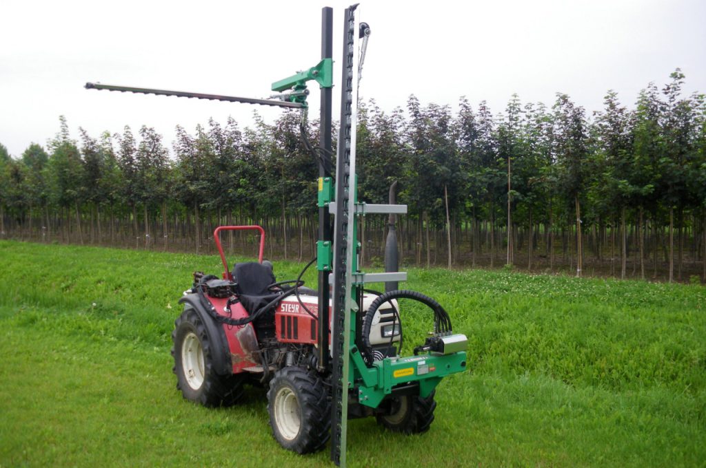 Horizontaler und vertikaler Baumschnitt