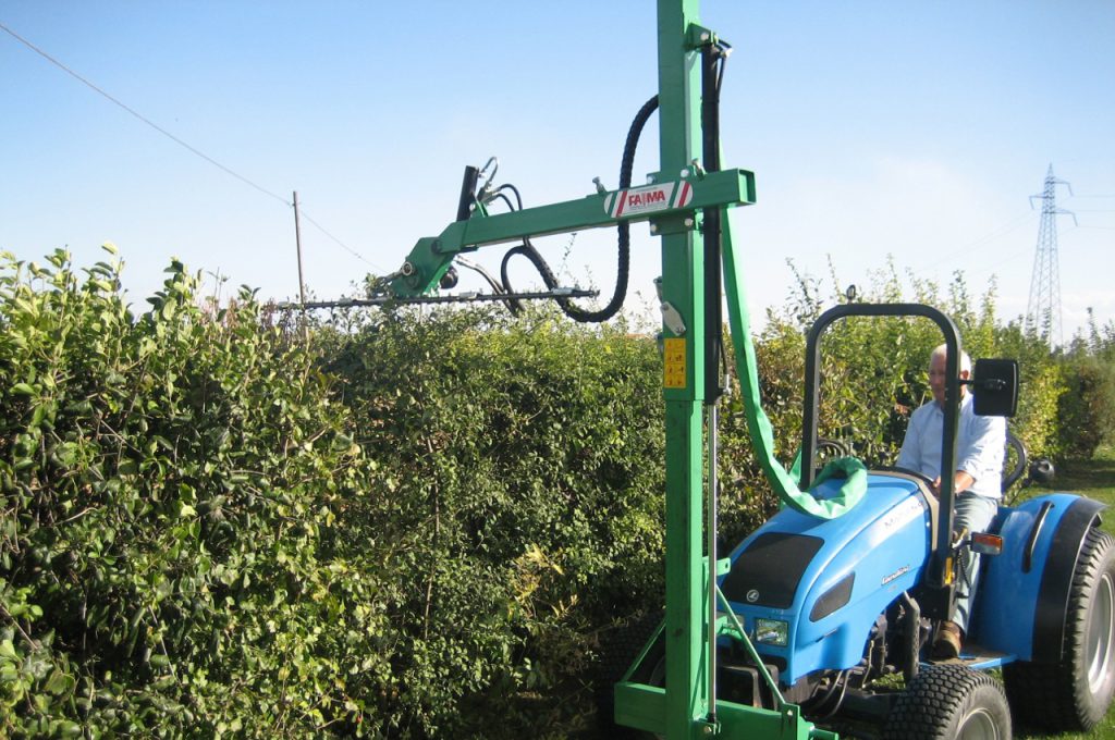 Horizontaler und vertikaler Baumschnitt