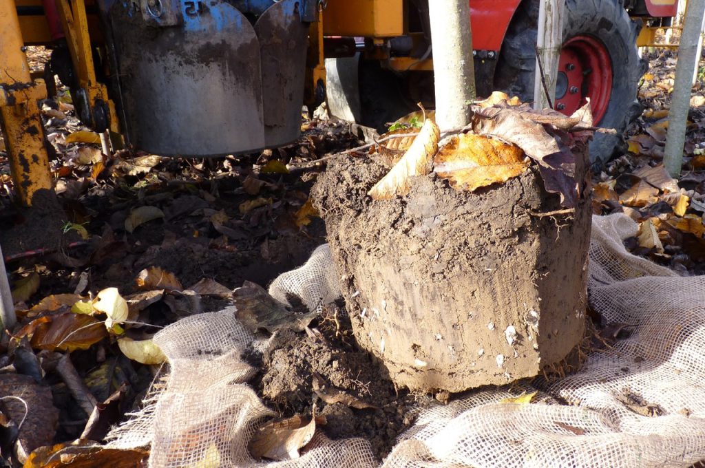 Ballenform KLR-500 ZR