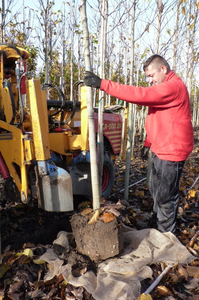 Ballenform KLR-500 ZR
