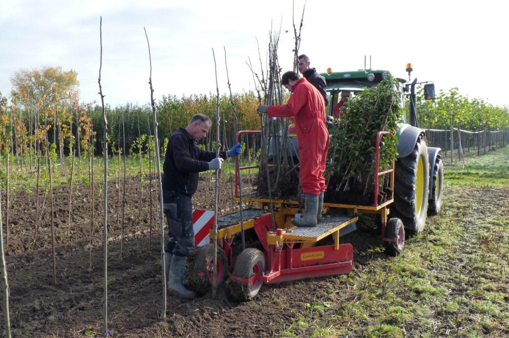 Pflanzmaschine PL-40