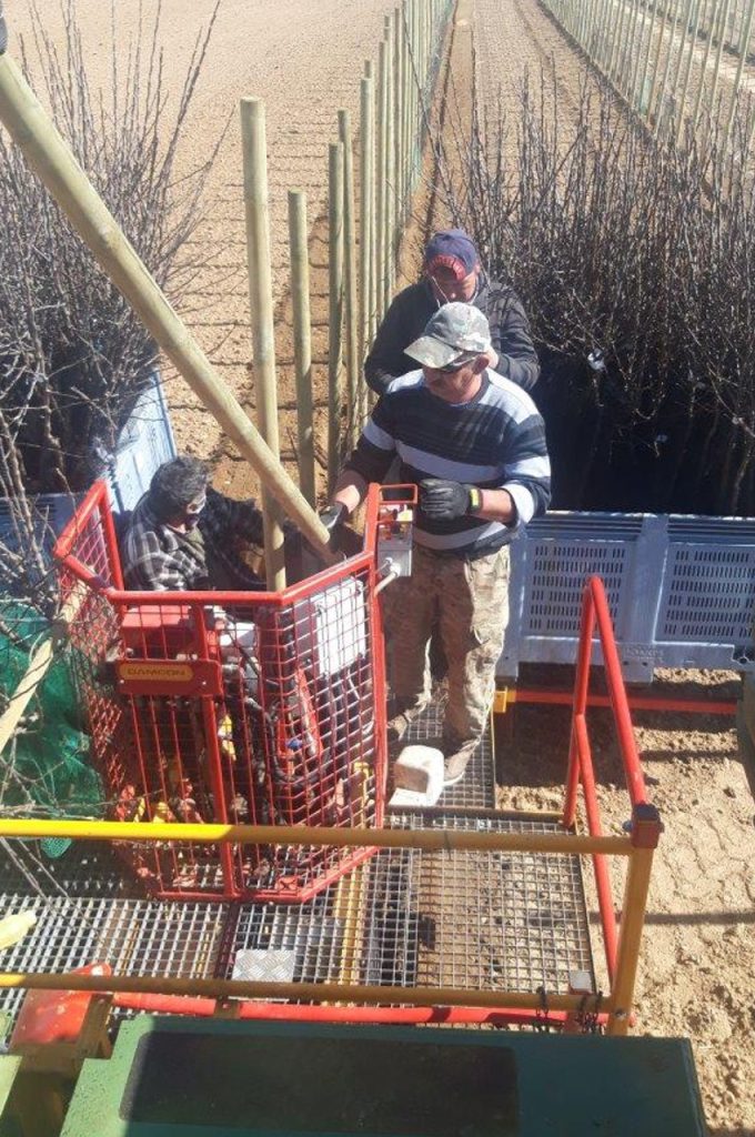 PL-40 F1 pfähledrücker auf GPS