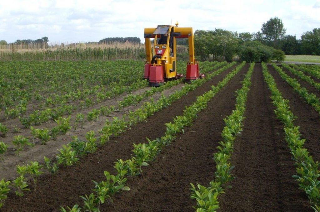Kultivatoren 3 reihen