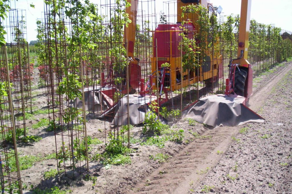 Gewächsgefürten Unkrautkappe