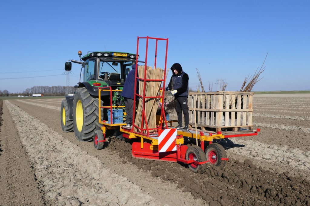 Bewässerungsschlauch während der Pflanzung verlegen