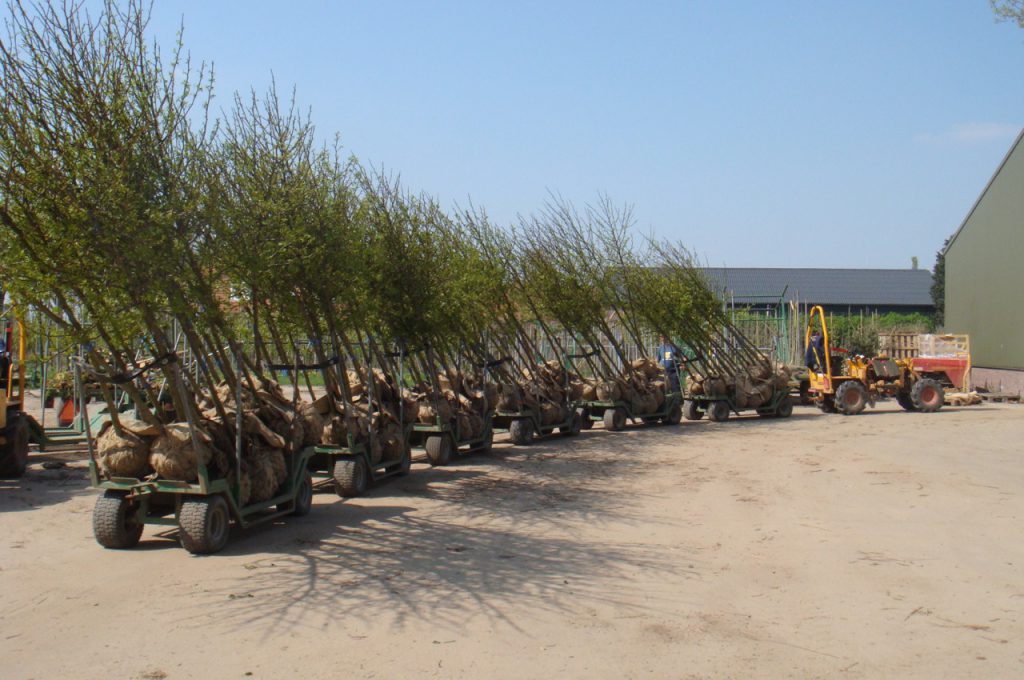 Mehrere Anhänger hinter Selector