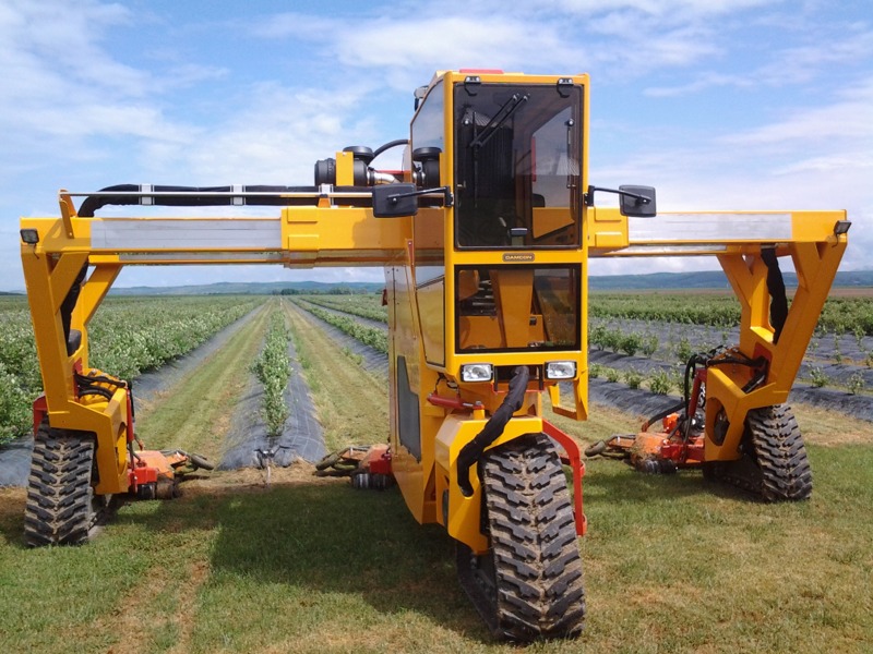 Multitrike für Heidelbeeren