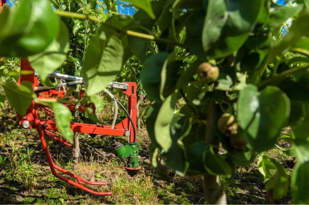 Unkrautbekämpfung mit LVS