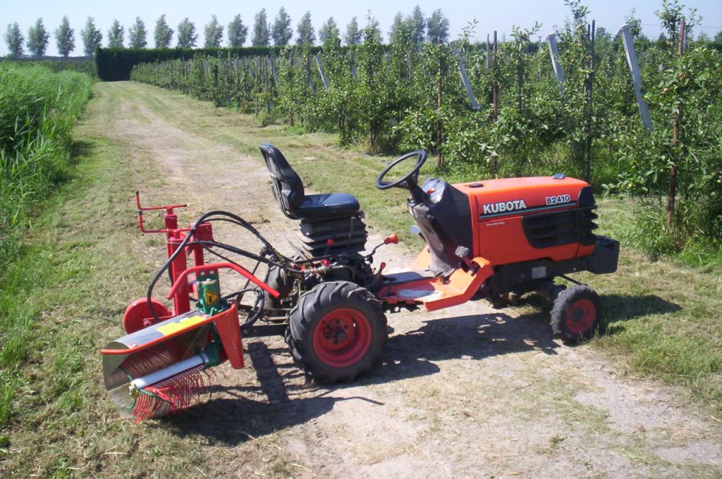 Clemens Unkrautbürste