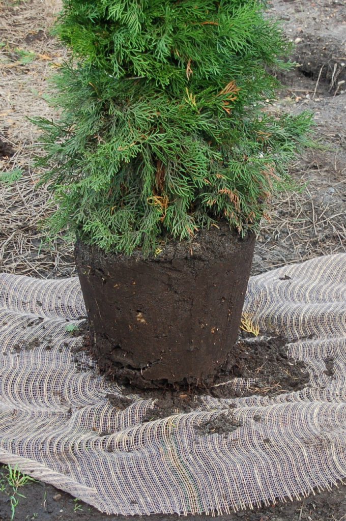 Ergebnis KLR-300 ST und KLR-300M ST