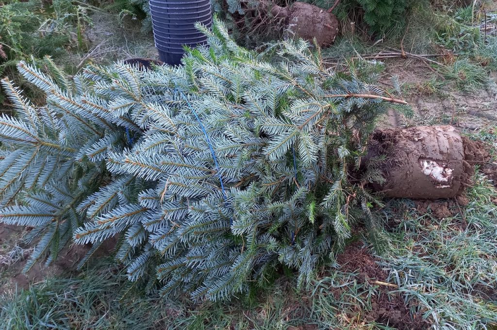 Ergebnis KLR-301M ST