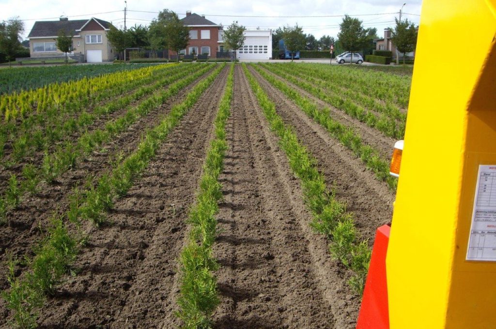 Ergebnis nach hacken