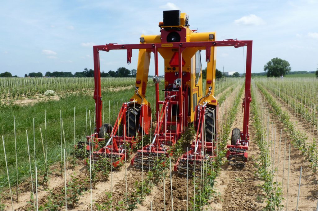 Hacken mit Torsionshacken 1 Jahr alte Kultur Reihenabstand 80 cm