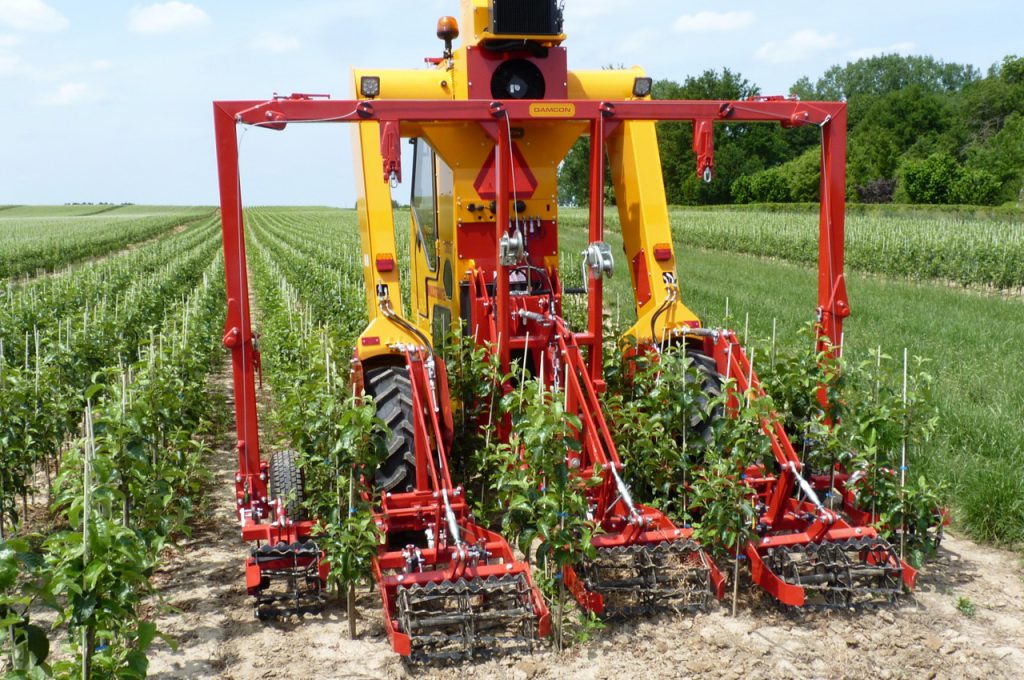 Hacken mit Torsionshacken 1 Jahr alte Kultur Reihenabstand 80 cm