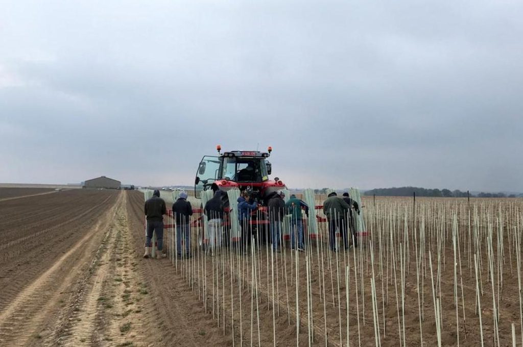 Glasfaserstäbenträger in Betrieb