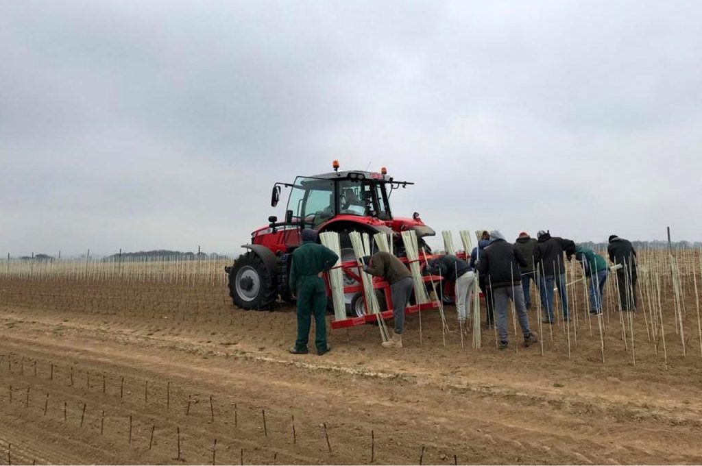 Glasfaserstäbenträger in Betrieb