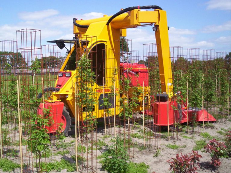 Multitrike für Sträucher und Koniferen