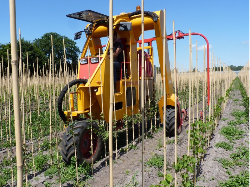 Multitrike für junge Alleebäume