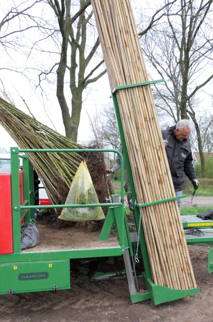 Bambusstäbe Gestell